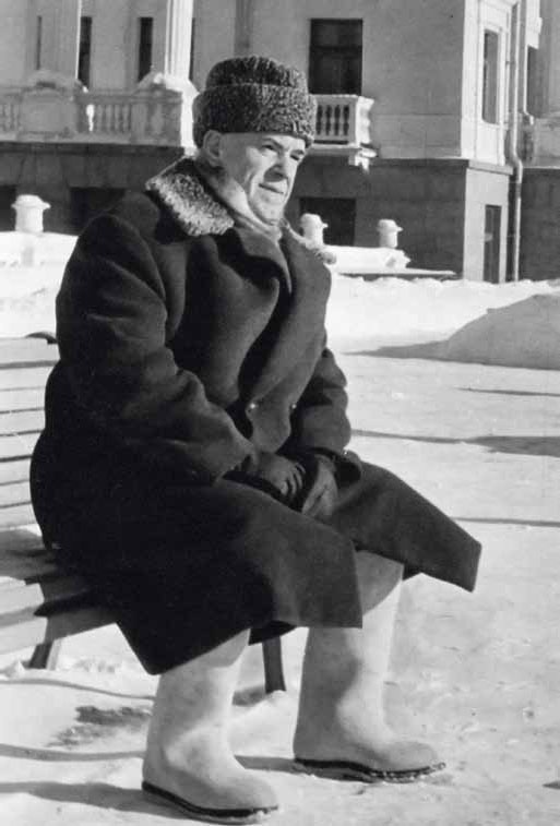 Полководцы Великой Отечественной. Книга 4. Георгий Жуков Полководцы Великой Отечественной. Книга 4. Георгий Жуков