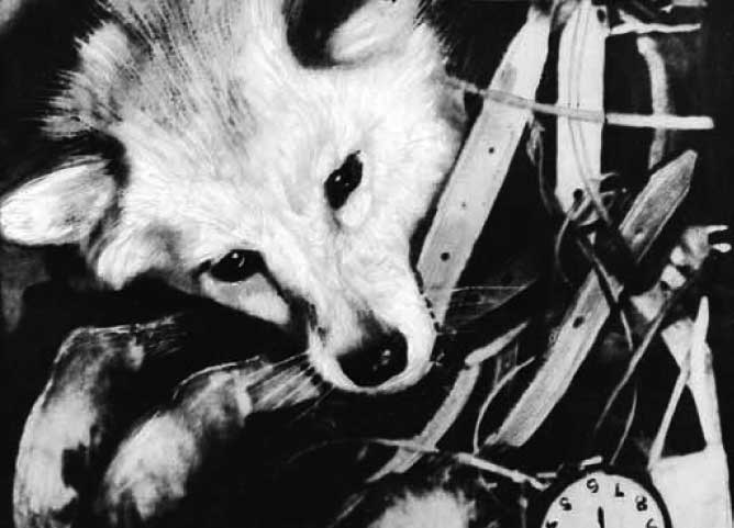 Великие умы России. Том 10. Сергей Королев Великие умы России. Том 10. Сергей Королев