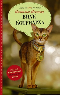 Внук котриарха - Наталья Нечаева - Читать книги онлайн | Слушать аудиокниги онлайн | Электронная библиотека books-lib.com