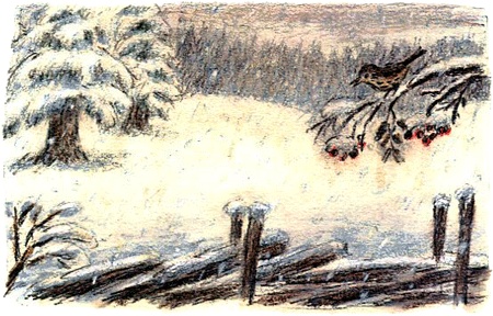 Кривуля Кривуля