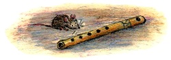 Кривуля Кривуля