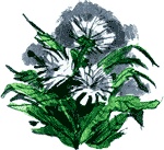Нос королевы Нос королевы