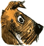 Нос королевы Нос королевы