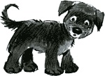 Нос королевы Нос королевы