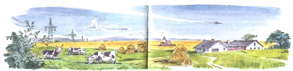 Леди Дейзи Леди Дейзи