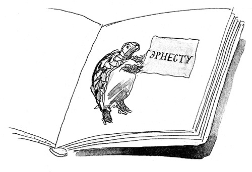 Мисс Черити Мисс Черити