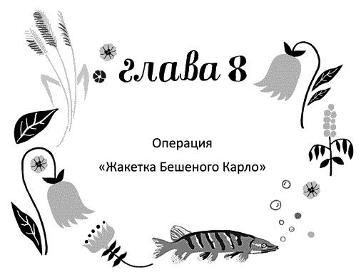 Мы – Разбойниковы Мы – Разбойниковы