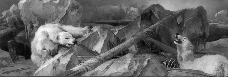 Изнанка белого. Арктика от викингов до папанинцев Изнанка белого. Арктика от викингов до папанинцев