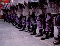 Последний окножираф Последний окножираф