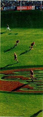 Последний окножираф Последний окножираф