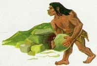 Последний окножираф Последний окножираф