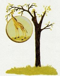 Последний окножираф Последний окножираф