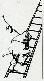 Последний окножираф Последний окножираф