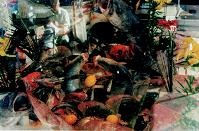 Последний окножираф