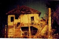 Последний окножираф Последний окножираф