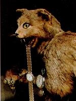 Последний окножираф Последний окножираф