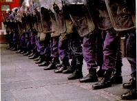 Последний окножираф Последний окножираф