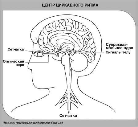Детский сон. Простые решения для родителей Детский сон. Простые решения для родителей