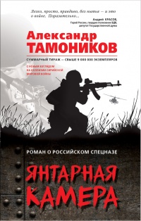 Янтарная камера - Александр Тамоников - Читать книги онлайн | Слушать аудиокниги онлайн | Электронная библиотека books-lib.com