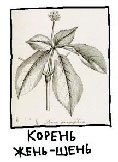 Сказка с подробностями Сказка с подробностями