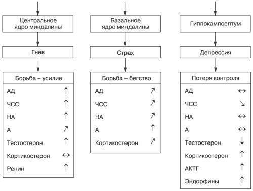 Эмоции и чувства Эмоции и чувства