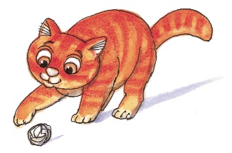 Красавица 5 "В" Красавица 5 "В"