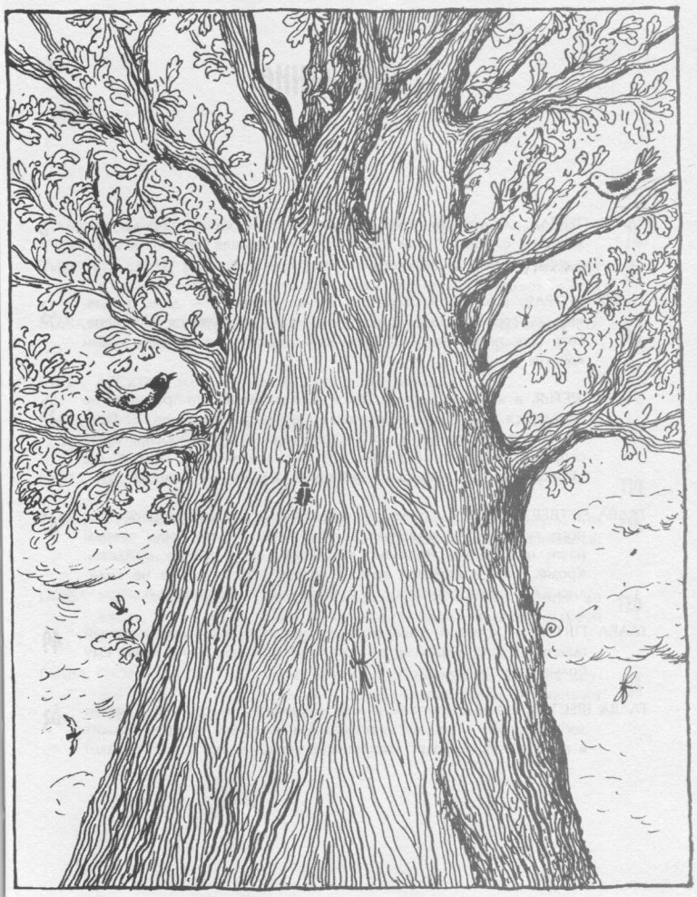 Победитель страха Победитель страха