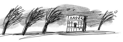 День матери День матери