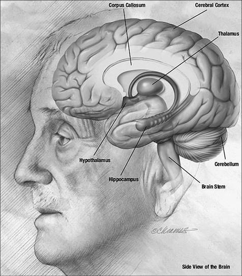 100 великих тайн доисторического мира 100 великих тайн доисторического мира