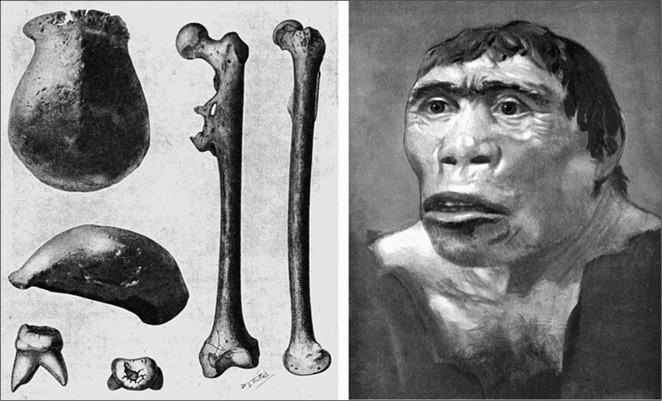 100 великих тайн доисторического мира 100 великих тайн доисторического мира