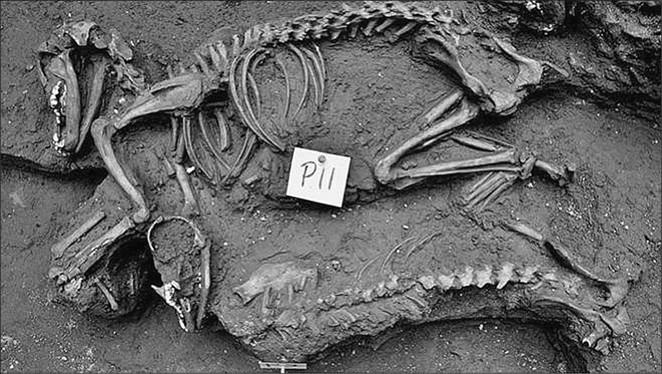 100 великих тайн доисторического мира 100 великих тайн доисторического мира