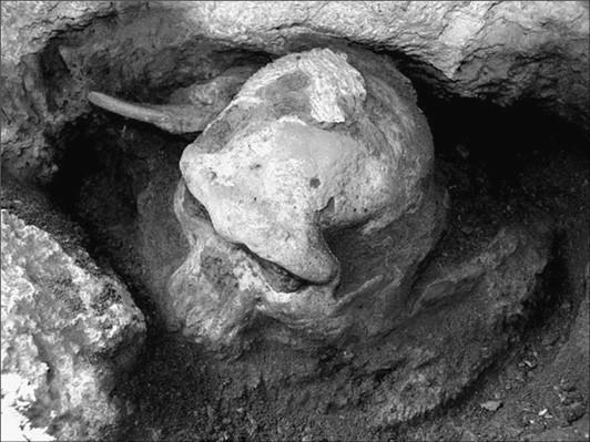 100 великих тайн доисторического мира 100 великих тайн доисторического мира