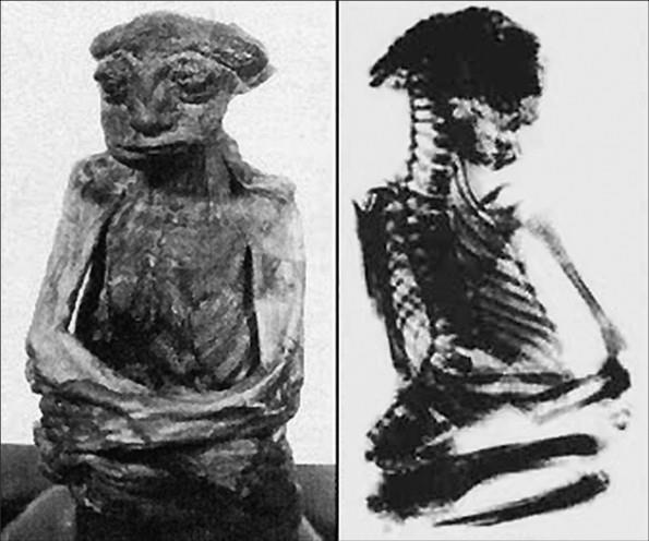100 великих тайн доисторического мира 100 великих тайн доисторического мира