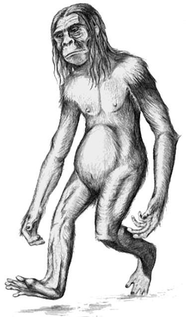 100 великих тайн доисторического мира 100 великих тайн доисторического мира