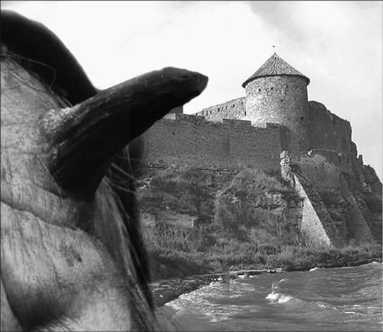 100 великих тайн доисторического мира 100 великих тайн доисторического мира