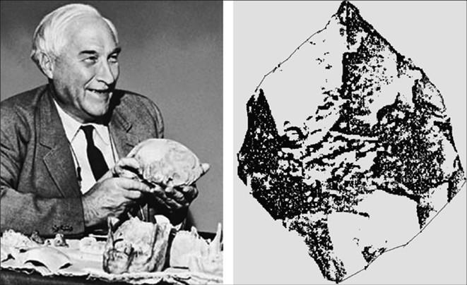 100 великих тайн доисторического мира 100 великих тайн доисторического мира