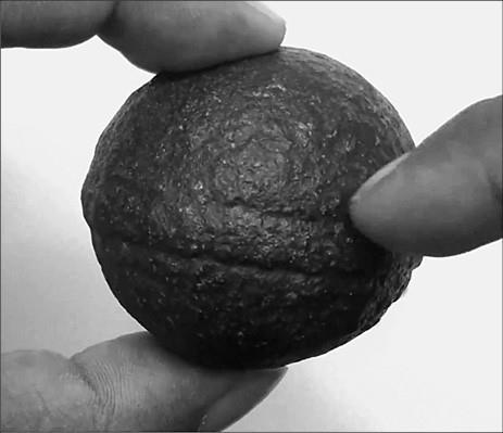 100 великих тайн доисторического мира 100 великих тайн доисторического мира