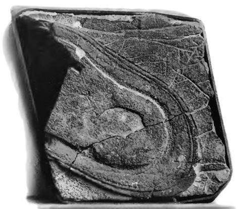 100 великих тайн доисторического мира 100 великих тайн доисторического мира