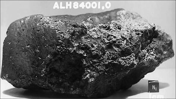 100 великих тайн доисторического мира 100 великих тайн доисторического мира