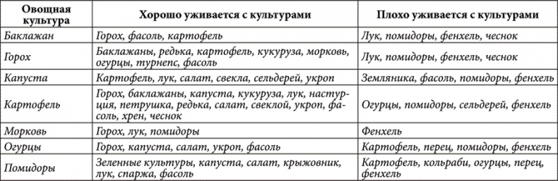Золотые советы хозяюшки Золотые советы хозяюшки