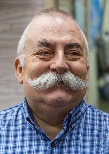 Страна грибов Страна грибов