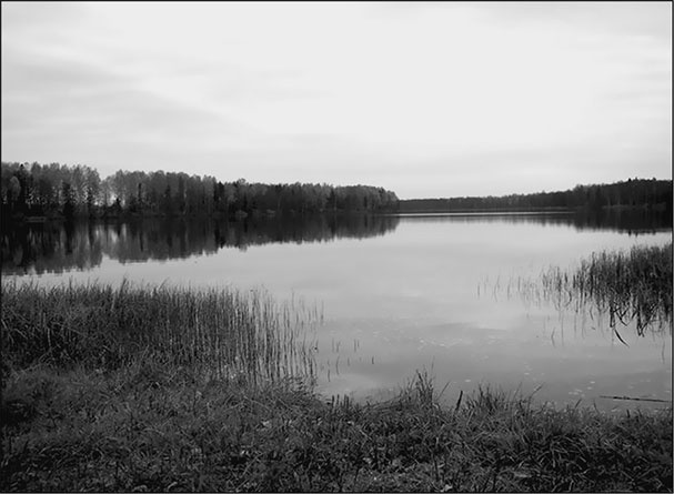 Предания Синих камней Предания Синих камней