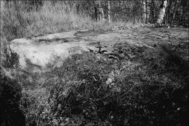 Предания Синих камней Предания Синих камней