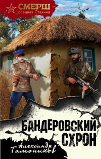 Бандеровский схрон - Александр Тамоников - Читать книги онлайн | Слушать аудиокниги онлайн | Электронная библиотека books-lib.com