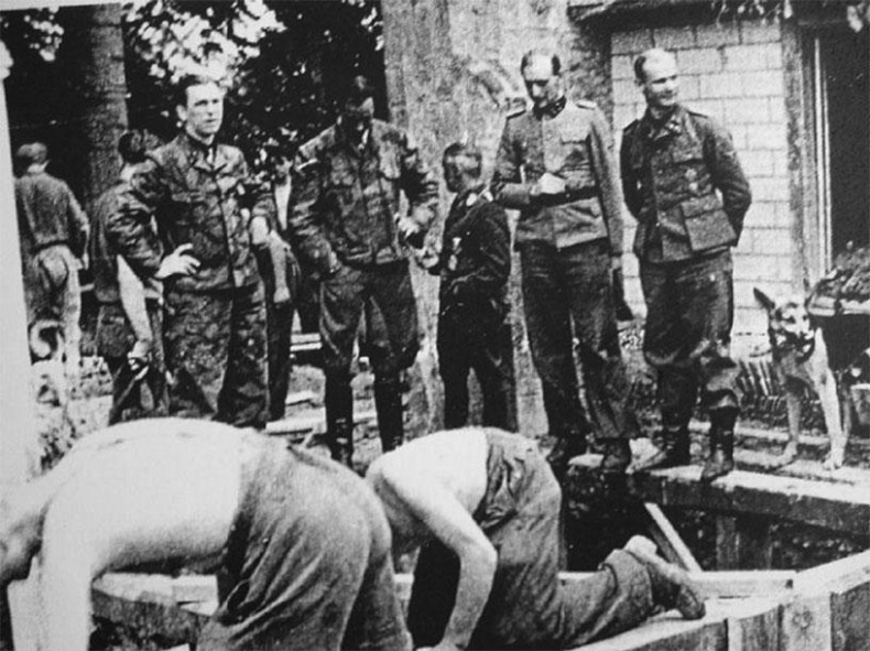 12-я танковая дивизия СС «Гитлерюгенд» 12-я танковая дивизия СС «Гитлерюгенд»