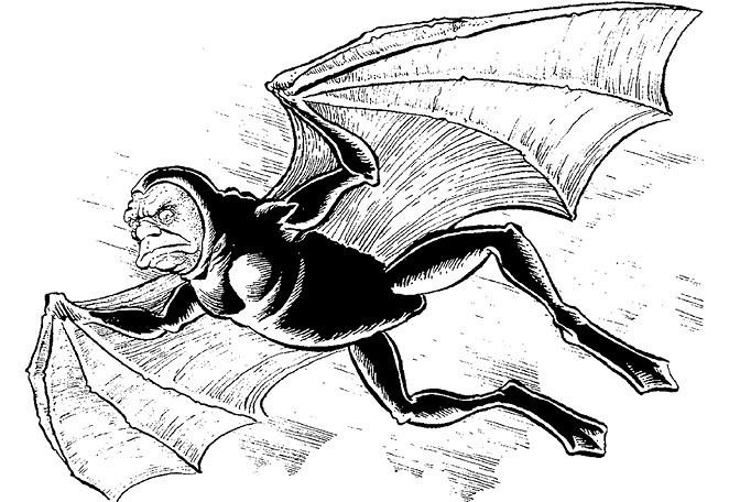 100 великих загадок природы 100 великих загадок природы