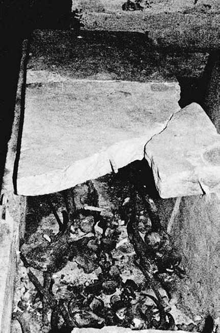 Правильно ли мы понимаем историю Европы и Азии? Книга III Правильно ли мы понимаем историю Европы и Азии? Книга III