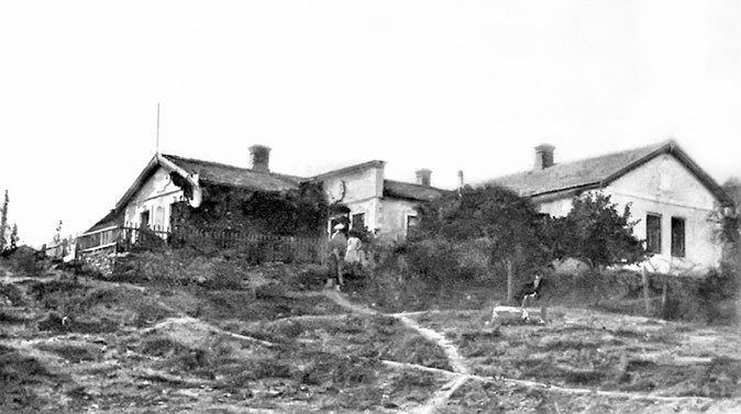 Марина Цветаева. Беззаконная комета Марина Цветаева. Беззаконная комета