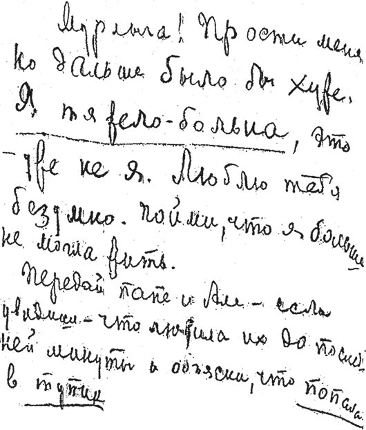 Марина Цветаева. Беззаконная комета Марина Цветаева. Беззаконная комета