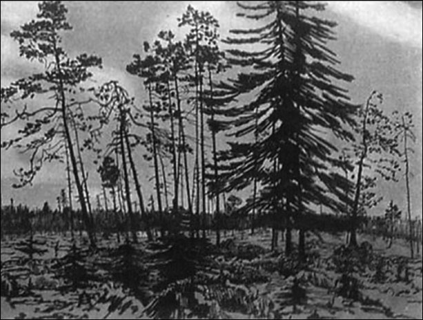 Русская Финляндия Русская Финляндия